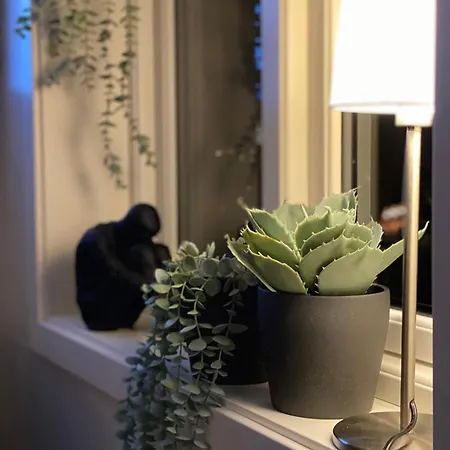 Appartamento Store Ringheim - Solberg