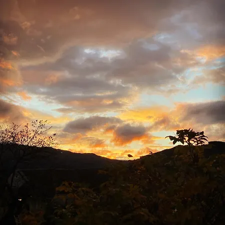 Store Ringheim - Solberg Voss