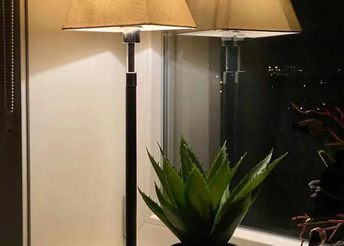 Store Ringheim - Solberg Voss