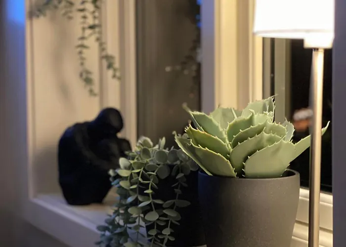 Lägenhet Store Ringheim - Solberg