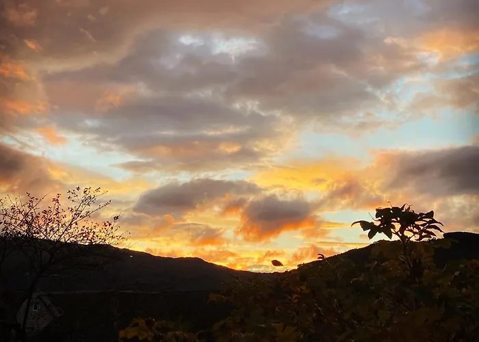 Store Ringheim - Solberg Voss