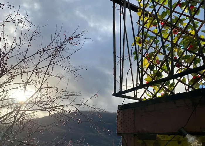 Store Ringheim - Solberg *