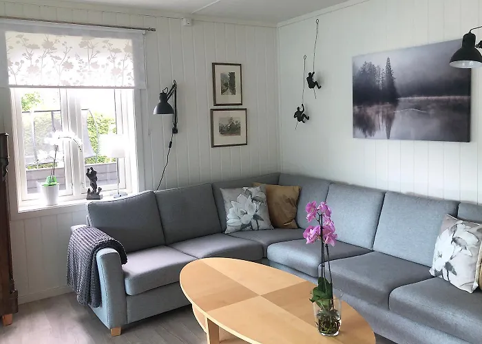 Store Ringheim - Solberg *