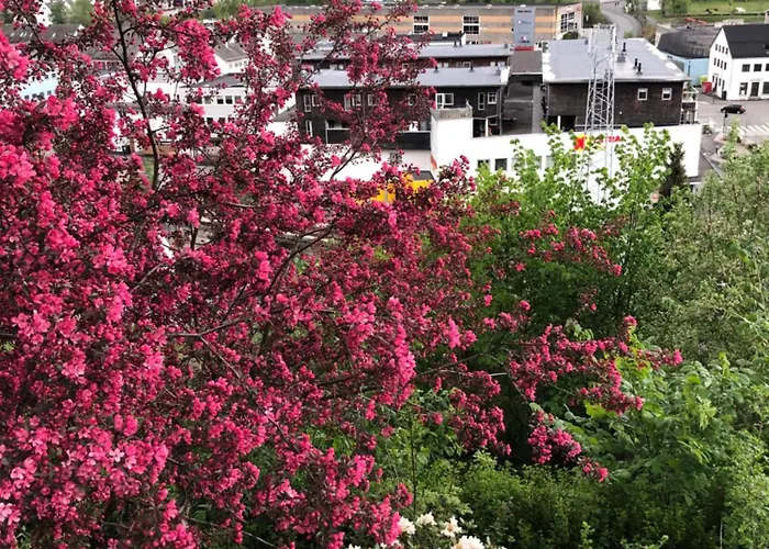 Store Ringheim - Solberg